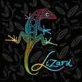 Bright lizard on a dark background