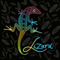 Bright lizard on a dark background Royalty Free Stock Photo