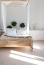 Bright loft four-poster bedroom. Wall decoration with monstera leaves Royalty Free Stock Photo