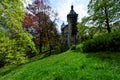 Bright looking trees and grass