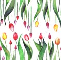 Bright lovely beautiful spring vertical pattern of tulips red yellow pink purple lavender flowers watercolor