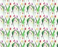 Bright lovely beautiful spring vertical pattern of tulips red yellow pink purple lavender flowers watercolor Royalty Free Stock Photo