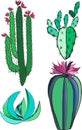 Bright lovely mexican tropical floral herbal summer green set of a cactus paint like child