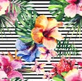 Bright lovely sophisticated wonderful tender colorful tropical hawaii floral herbal summer tropical flowers hibiscus orchids and g Royalty Free Stock Photo