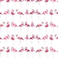 Bright lovely tender gentle sophisticated wonderful tropical hawaii animal wild summer beach pink flamingos pattern watercolor han Royalty Free Stock Photo