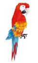 A bright macaw parrot on white background vector Royalty Free Stock Photo