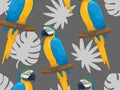 Bright tropical macaws seamless pattern. Vector print with cartoon funny ara parrots sitting on branches with palm Royalty Free Stock Photo
