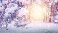 Bright magic glow in Christmas forest. Winter background. Glowing snowflakes fall on snowy trees and snow. Royalty Free Stock Photo