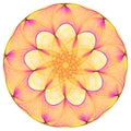 Bright mandala Royalty Free Stock Photo