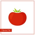 Isolated vivid red tomato memory training card