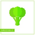 Isolated green broccoli memory training card