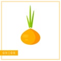 Isolated orange onion memory training card