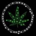 Bright Mesh 2D Cannabis with Flash Spots