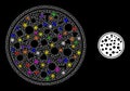 Bright Mesh Full Pizza Icon with Constellation Colored Light Spots