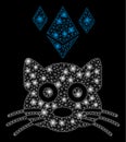 Bright Mesh Network Ethereum Crypto Kitty with Light Spots