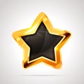 Bright metal golden glossy star with black blank space on white