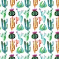 Bright mexican hawaii tropical green floral herbal summer pattern of a different colorful cacti with flowers vertical pattern wate Royalty Free Stock Photo