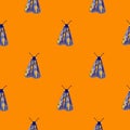 Bright minimalistic seamless moth pattern. Blue and prple colored butterflies on orange background