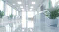 Bright modern corridor in an office building with potted plants and sunlight. Royalty Free Stock Photo