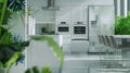 Bright modern kitchen interior with green plants and white cabinetry Royalty Free Stock Photo