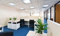 Bright and modern office space featuring cubicles with potted plants and light-filled windows Royalty Free Stock Photo