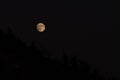 Bright Moon Hangs In The Sky Over Dark Silhouettes Of Forest