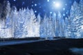 bright moon illuminates the mysterious night forest Royalty Free Stock Photo
