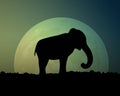 Bright moon in the night sky. Silhouette black elephant. Royalty Free Stock Photo