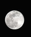 Bright moon shinin Royalty Free Stock Photo