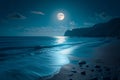 Bright moonlit night, captivating sea landscape, peaceful coastal scenery Royalty Free Stock Photo