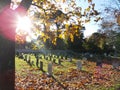 Bright morning sunlight in the cemetery, graveyard