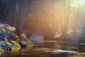 Bright morning sunlight on spring river. Nature landscape Royalty Free Stock Photo