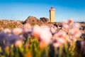 Bright morning view of Stafnesviti lighthouse. Blooming pink flowers on the foreground. Sunny summer scene of Iceland, Europe.