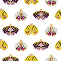 Bright moth insects seamless vector pattern.