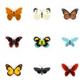 Bright motley butterflies icons set, flat style Royalty Free Stock Photo