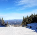 Bright mountain vista as seen through a ski trail flanked by pines against a fine Winter sky