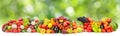 Bright multi-colored berries, fruits and vegetables on green Royalty Free Stock Photo