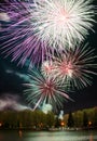 Bright multi-colored fireworks lights Royalty Free Stock Photo