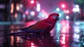 A bright multi-colored parrot on a wet city street at night, illuminated by bright city lights. Royalty Free Stock Photo