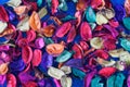 Bright multi-colored petals of dried flowers on a brilliant blue background. Concept of a bright creative and festive backdrop or Royalty Free Stock Photo