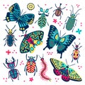 Bright Multicolor Butterfly, Beetles And Bugs Set. Vector Flat Cartoon Illustration. Decorative Insects Collection