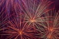 Bright multicolor fireworks in night sky Royalty Free Stock Photo