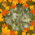 Bright multicolored autumn leaves on abstract background