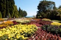 Bright multicolored blooming garden with colorful flowers, meadow with many colorful flowers and green trees against Royalty Free Stock Photo