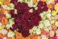 Bright multicolored bouquet of roses. Multicolored fresh roses background. Plenty of colorful bright roses close up