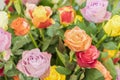 Bright multicolored bouquet of roses. Natural flowers background, soft focus. Colorful roses flower background, group of Royalty Free Stock Photo