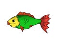 Bright multicolored fish illustration isolated on white.