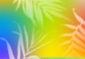 Bright Multicolored Gradient Background with Palm Leaves. Abstract Bg with Blurred Tropical Elements Overlay
