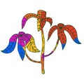 Bright multicolored tropical plant, multicolored palm tree