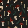 bright mystical pattern with fly agaric and fern isolated on a dark background. Vector illustration of the design for